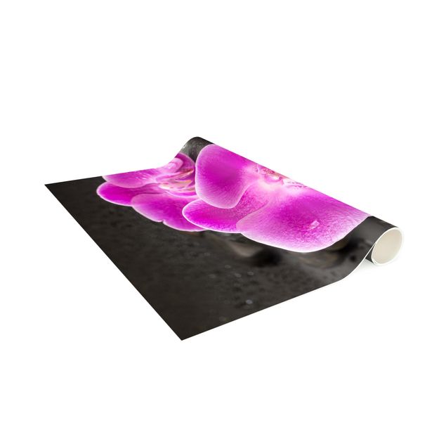 tapete para sala moderno Pink Orchid Flower On Stones With Drops