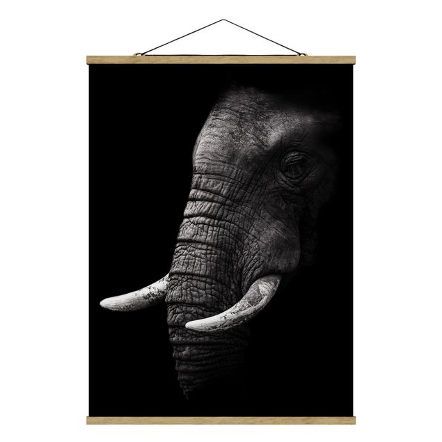 Quadros natureza Dark Elephant Portrait