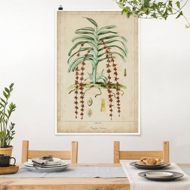 decoraçoes cozinha Vintage Board Exotic Palms IV