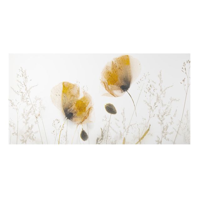 decoraçao para parede de cozinha Poppy Flowers And Delicate Grasses In Soft Fog