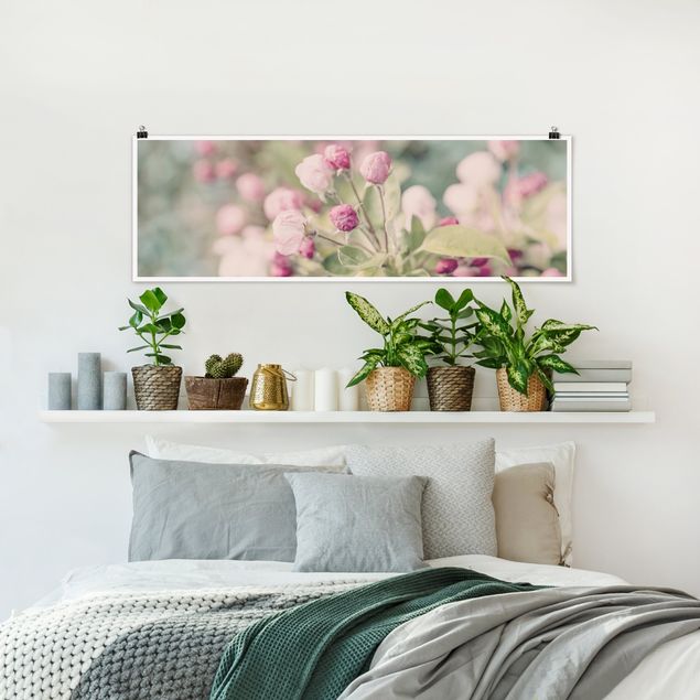 Posters flores Apple Blossom Bokeh Light Pink