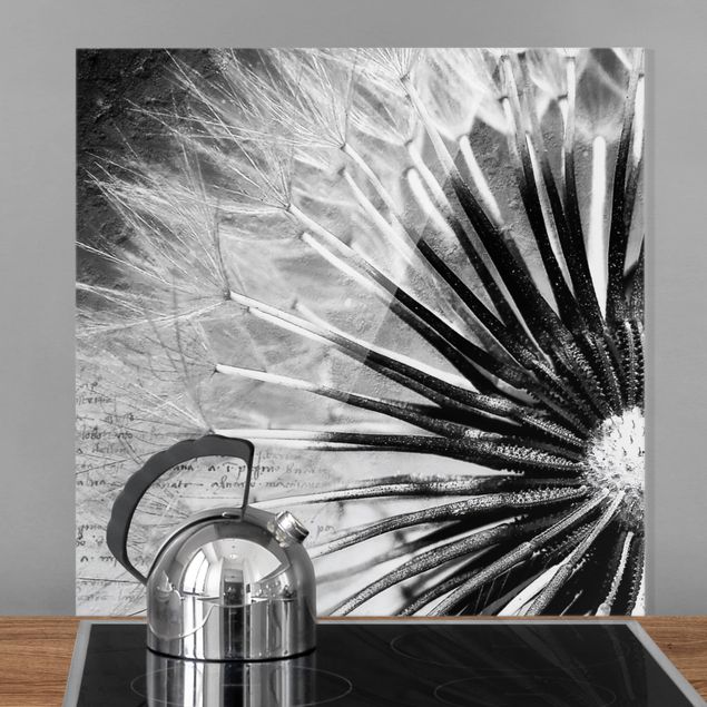 decoraçao para parede de cozinha Dandelion Black & White