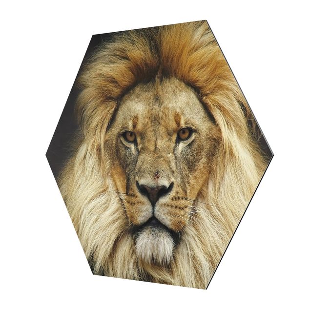 quadros para parede Wisdom Of Lion