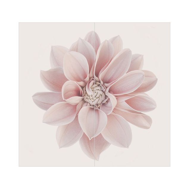 Revestimento de parede para duche Dahlia Flower Pastel White Pink