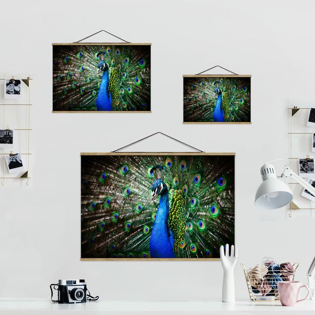 decoração quadros Noble Peacock