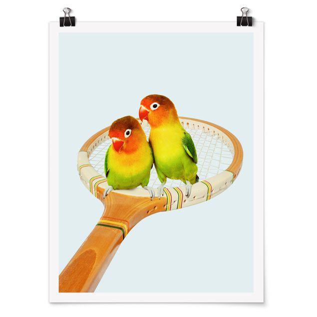Posters animais Tennis With Birds