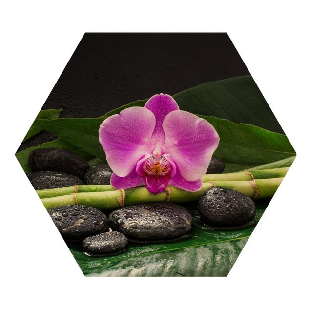 Quadros florais Green Bamboo With Orchid Blossom