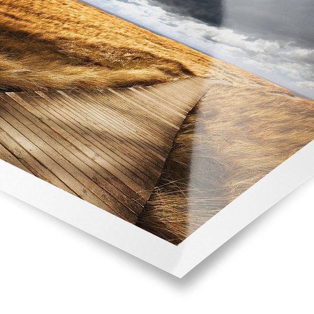 Posters paisagens Path Between Dunes