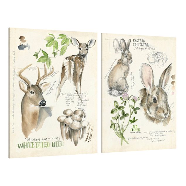 Quadros florais Wilderness Journal - Deer And Rabbits Set II