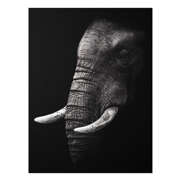 Quadros elefantes Dark Elephant Portrait