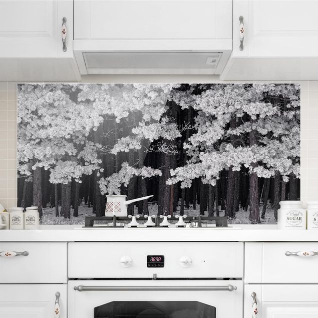 decoraçao para parede de cozinha Forest With Hoarfrost In Austria