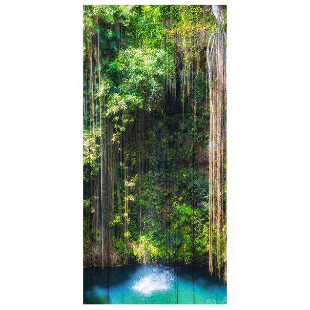 Divisórias de ambiente Hanging Roots Of Ik-Kil Cenote