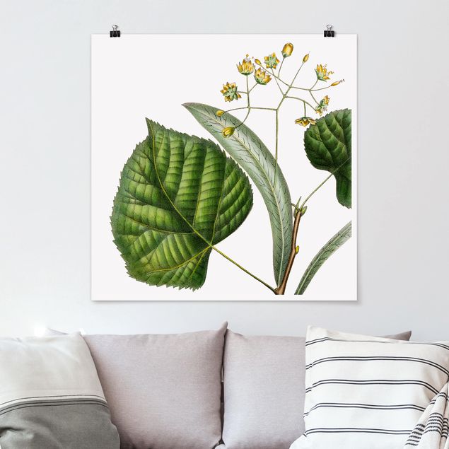 Posters flores Foliage With Flowers I