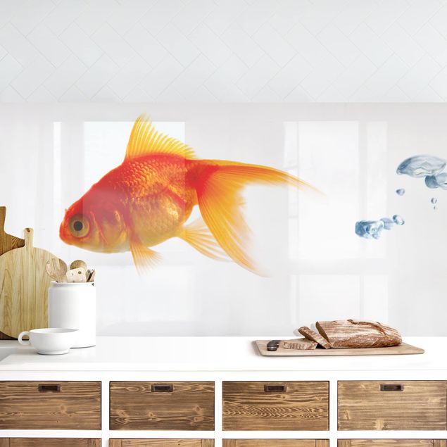 decoraçao para parede de cozinha Goldfish