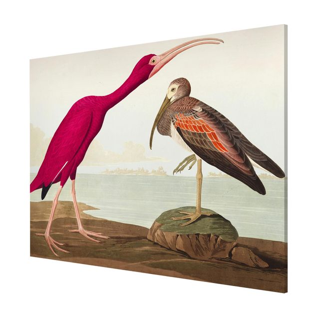 quadro de praia Vintage Board Red Ibis