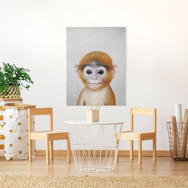 Quadros macacos Baby Monkey Anton