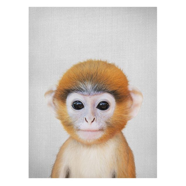 Telas decorativas animais Baby Monkey Anton