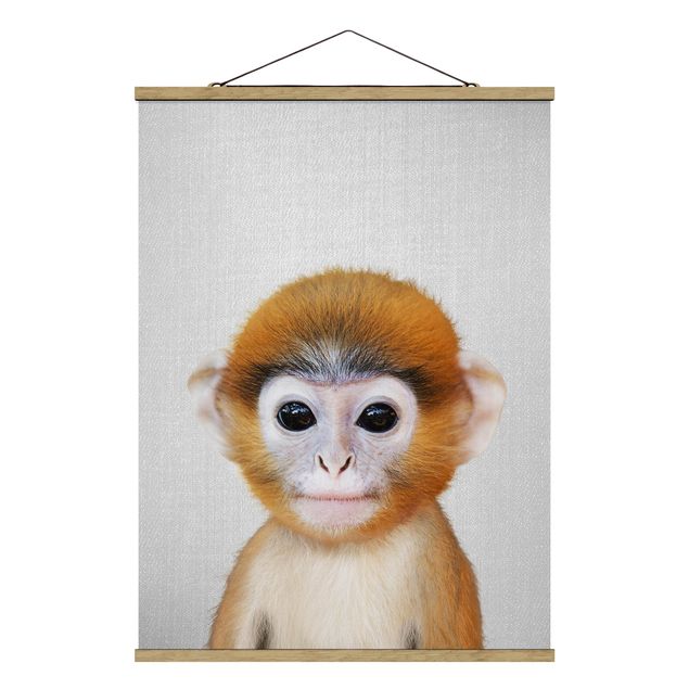 quadro animal Baby Monkey Anton