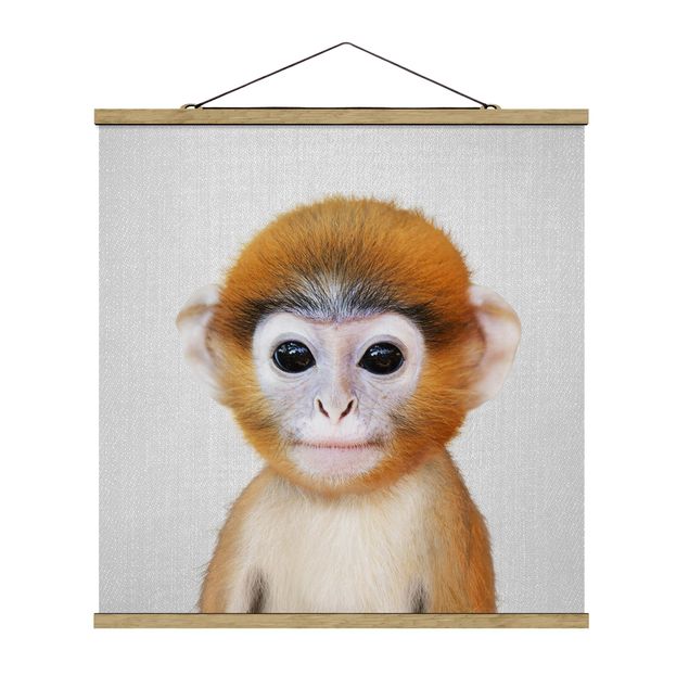 quadro animal Baby Monkey Anton