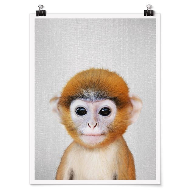 Posters animais Baby Monkey Anton
