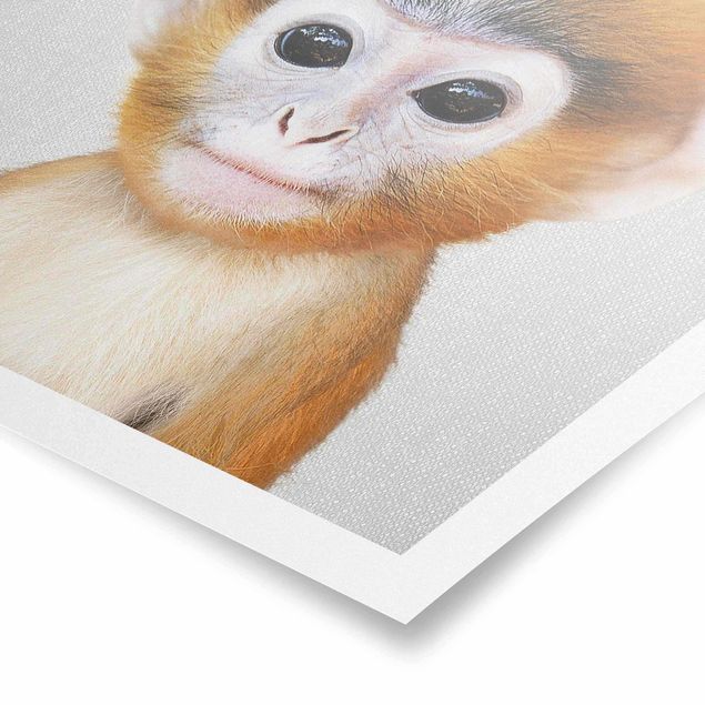 quadros decorativos para sala modernos Baby Monkey Anton