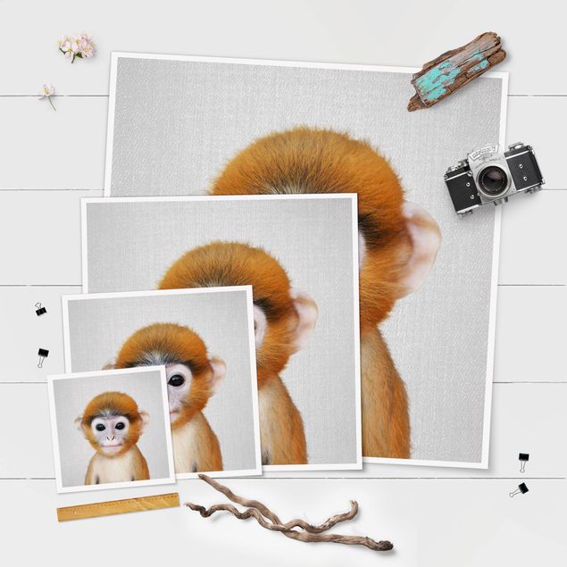 posters decorativos Baby Monkey Anton
