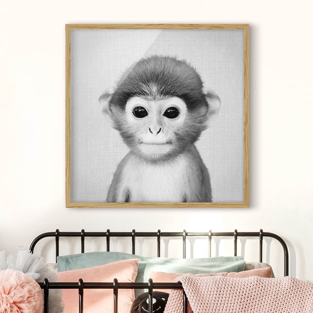 Quadros macacos Baby Monkey Anton Black And White