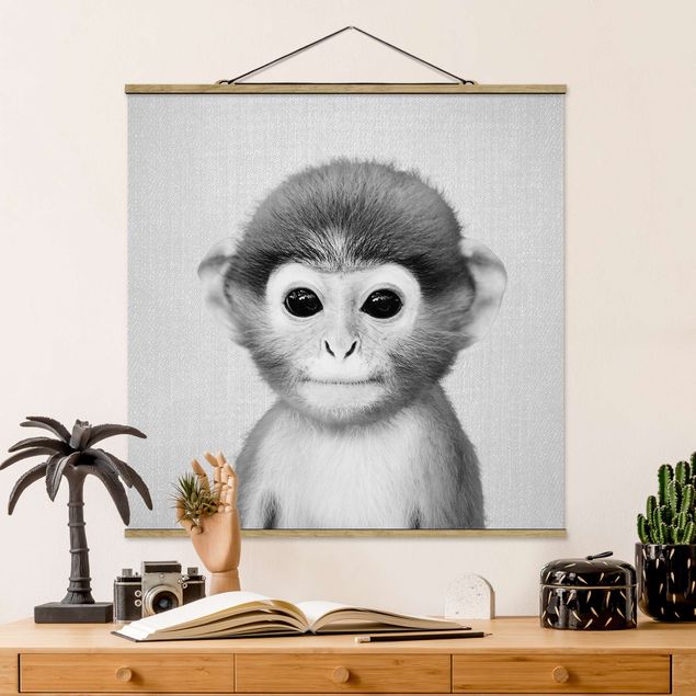 Quadros macacos Baby Monkey Anton Black And White