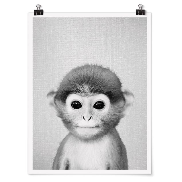 Posters animais Baby Monkey Anton Black And White