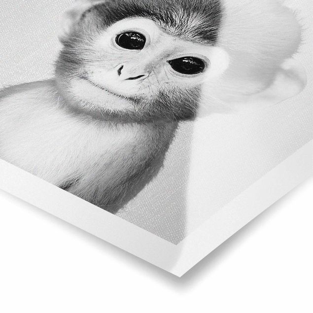 quadros em preto e branco Baby Monkey Anton Black And White
