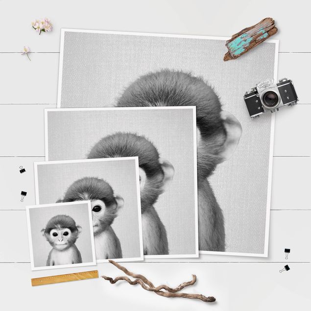 posters decorativos Baby Monkey Anton Black And White