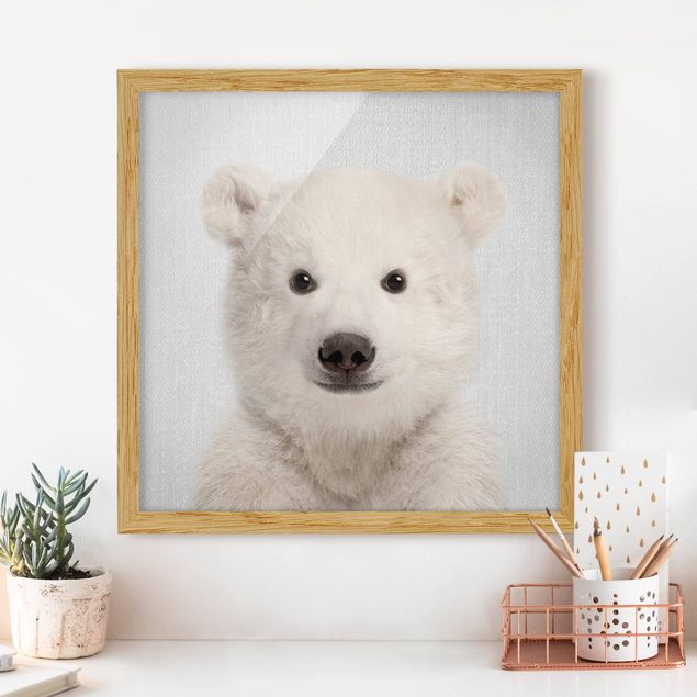 Quadros ursos Baby Polar Bear Emil