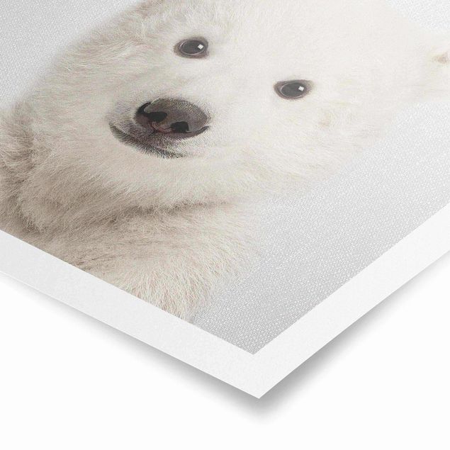 quadros modernos para quarto de casal Baby Polar Bear Emil