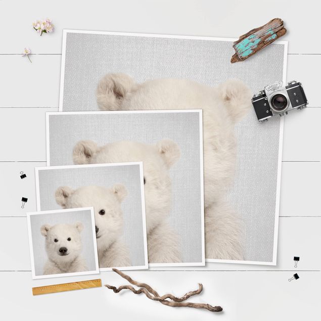 poster decoração Baby Polar Bear Emil