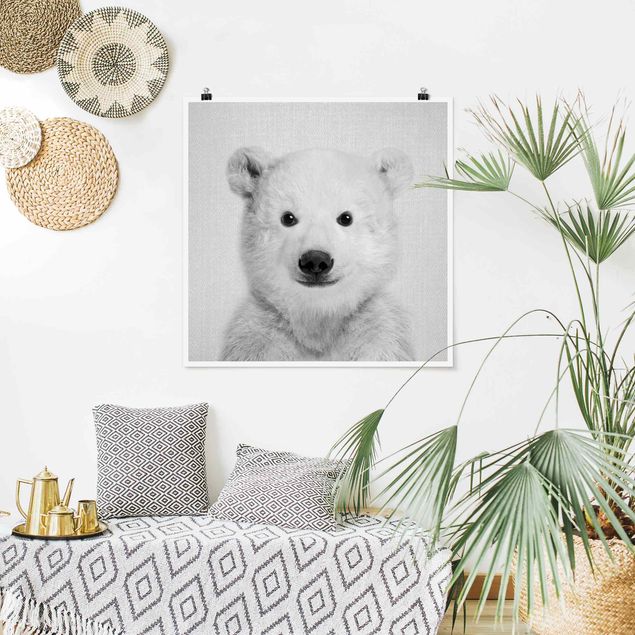 poster preto e branco Baby Polar Bear Emil Black And White