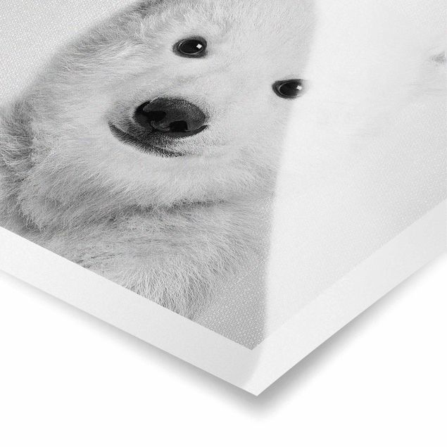 quadros em preto e branco Baby Polar Bear Emil Black And White
