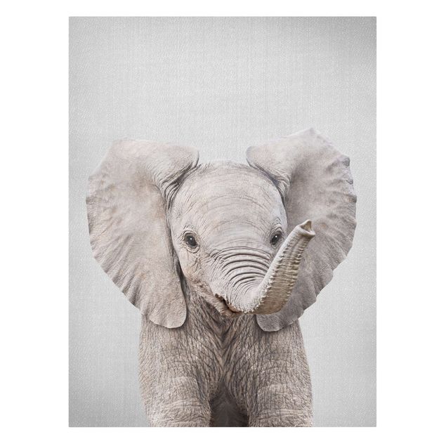 Telas decorativas animais Baby Elephant Elsa