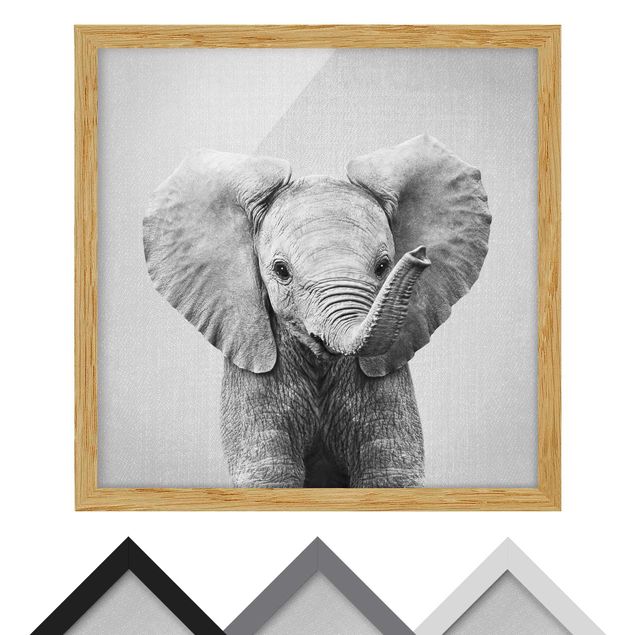 quadros preto e branco para decoração Baby Elephant Elsa Black And White
