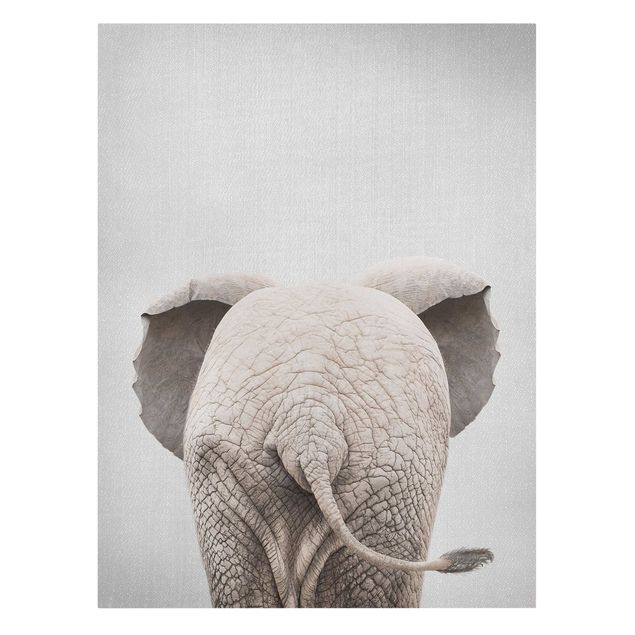 Telas decorativas animais Baby Elephant From Behind