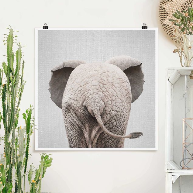 Quadros elefantes Baby Elephant From Behind