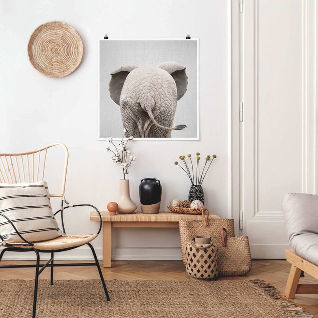 Posters em preto e branco Baby Elephant From Behind