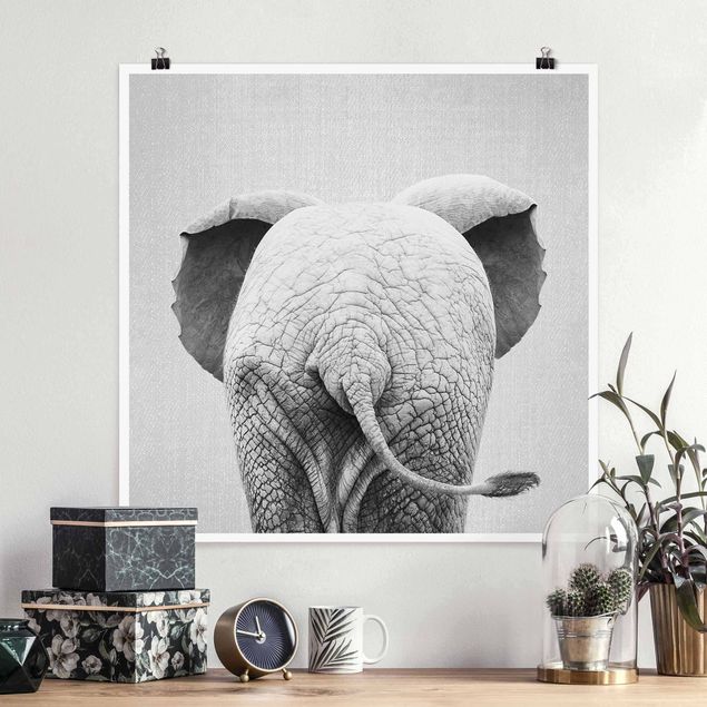 Quadros elefantes Baby Elephant From Behind Black And White