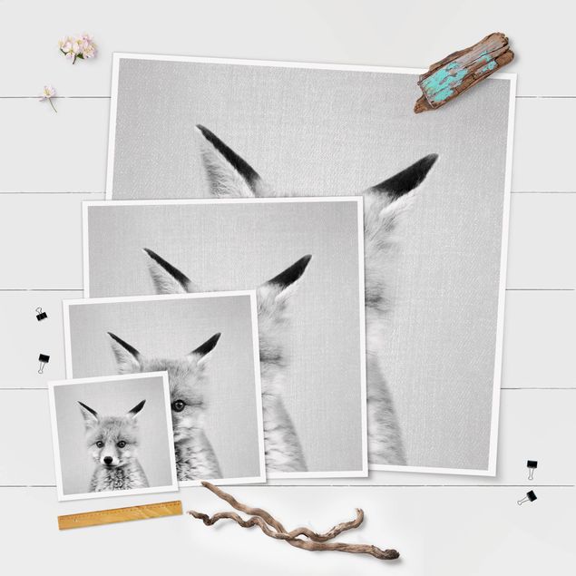 Posters Baby Fox Fritz Black And White