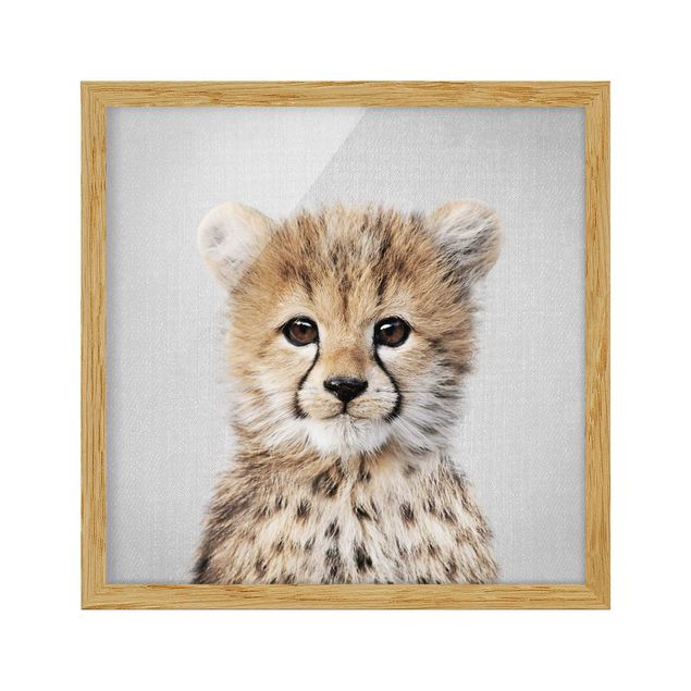 Quadros modernos Baby Cheetah Gino