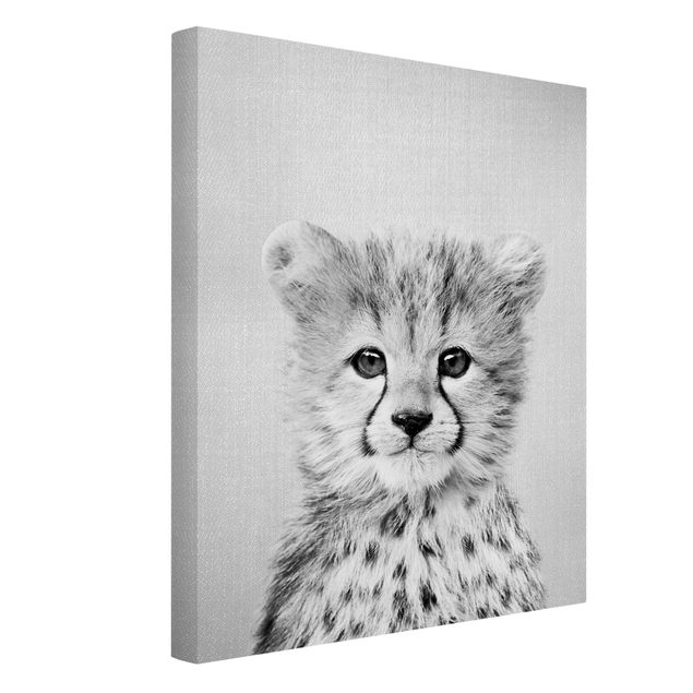 Telas decorativas animais Baby Cheetah Gino Black And White