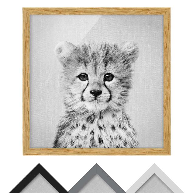 quadros para parede Baby Cheetah Gino Black And White