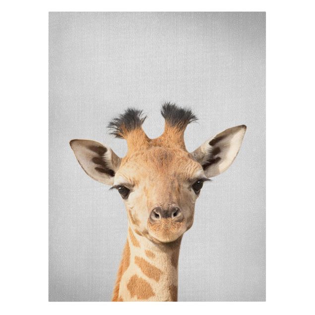 Telas decorativas animais Baby Giraffe Gandalf