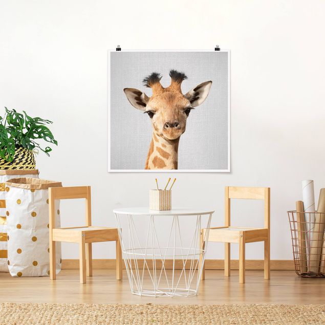 Posters em preto e branco Baby Giraffe Gandalf