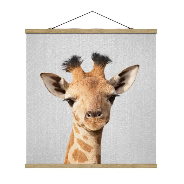 Posters animais Baby Giraffe Gandalf