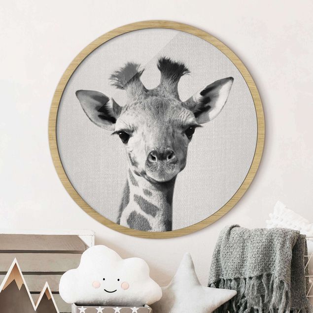 decoração quarto bebé Baby Giraffe Gandalf Black And White